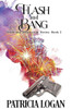 Flash And Bang (The Death And Destruction Series)