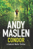 Condor (The Gabriel Wolfe Thrillers)