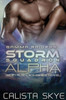 Gamma Raiders: The Storm Squadron Alpha: Scifi Alien Romance Novel