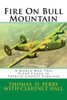 Fire On Bull Mountain: A World War Two Plane Crash In Patrick County Virginia (Patrick County Virginia History)