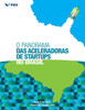 O Panorama Das Aceleradoras De Startups No Brasil (Portuguese Edition)