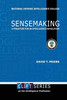 Sensemaking: A Structure For An Intelligence Revolution