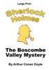 The Boscombe Valley Mystery: Sherlock Holmes In Large Print