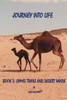 Journey Into Life, Book Three: Camel Trails And Desert Winds