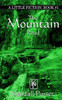 The Mountain Road (A Little Fiction)