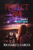Perfect Crime Episode 3: The End Of Horror 3 (Thriller Suspense Crime Murder Psychology Fiction) Series: Lesbian Studies Short Story