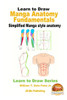 Learn To Draw - Manga Anatomy Fundamentals - Simplified Manga Style Anatomy