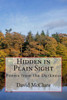 Hidden In Plain Sight: Poems From The Darkness