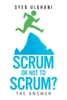 Scrum Or Not To Scrum?
