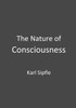 The Nature Of Consciousness