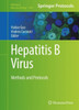 Hepatitis B Virus: Methods And Protocols (Methods In Molecular Biology, 1540)