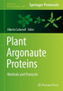 Plant Argonaute Proteins: Methods And Protocols (Methods In Molecular Biology, 1640)