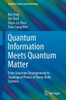Quantum Information Meets Quantum Matter (Quantum Science And Technology)