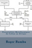 Potentialites Metallurgiques Du Coltan En Afrique (Expertise En Metallurgie Extractive) (French Edition)