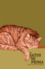 Los Gatos De Mi Prima (Spanish Edition)