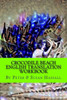 Crocodile Beach: English Translation Workbook (World English Translation Workbooks)