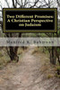 Two Different Promises: A Christian Perspective On Judaism (Beyond Absolutes)