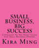 Small Business, Big Success: A Straight To The Point Guide For Small Business Owners