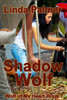 Shadow Wolf (Wolf Of My Heart)