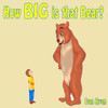 How Big Is That Bear?