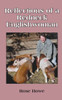 Reflections Of A Redneck Englishwoman (The Redneck Englishwoman)