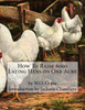 How To Raise 6000 Laying Hens On One Acre
