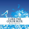 I Like The Color Blue