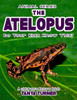 The Atelopus Do Your Kids Know This?: A Children's Picture Book (Amazing Creature Series)