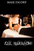 Male Escort: "A Young Mans Journey Of Discovery"