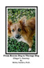 From Rescue Dog To Therapy Dog