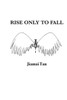 Rise Only To Fall: Fictional Novel