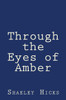 Through The Eyes Of Amber