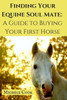 Finding Your Equine Soulmate: A Guide To Buying A Horse
