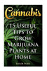Cannabis: 15 Useful Tips To Grow Marijuana Plants At Home