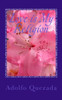 Love Is My Religion: Rooted In God