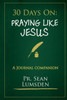 30 Days On: Praying Like Jesus: Asking Jesus For What He Wants