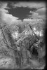 Hero (Annihilation Series)