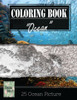 Ocean Underwater Greyscale Photo Adult Coloring Book, Mind Relaxation Stress Relief: Just Added Color To Release Your Stress And Power Brain And Mind, ... And Grown Up, 8.5" X 11" (21.59 X 27.94 Cm)