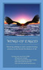 Wings Of Eagles: Practicing Abiding In God'S Consistent Loving Presence In The Chaotic Floodwaters Of Life