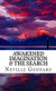 Awakened Imagination & The Search