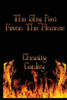 The Shy Poet: From The Flames