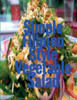 Simple Filipino Style Vegetable Salad (Filipino Food Cookbook)