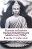 Russian: A Guide To Tranquil Wisdom Insight Meditation (Twim): Russian Language Edition (Russian Edition)