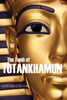 The Tomb Of Tutankhamun: Volume I-The Discovery (Expanded, Annotated)
