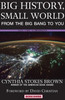 Big History, Small World