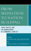 From Mediation To Nation-Building: Third Parties And The Management Of Communal Conflict