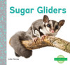 Sugar Gliders (Nocturnal Animals)