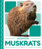 Muskrats (Pond Animals)