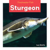 Sturgeon (Freshwater Fish)