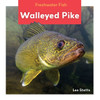 Walleyed Pike (Freshwater Fish)